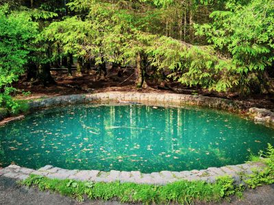 bh170_natural_pool